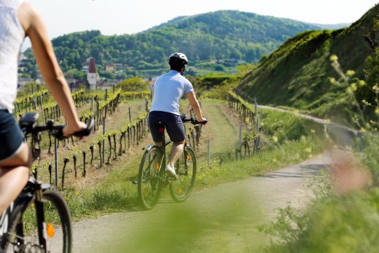 Zahlreiche Radwege laden zu Erkundungstouren durch das Weinbaugebiet, © weinfranz.at