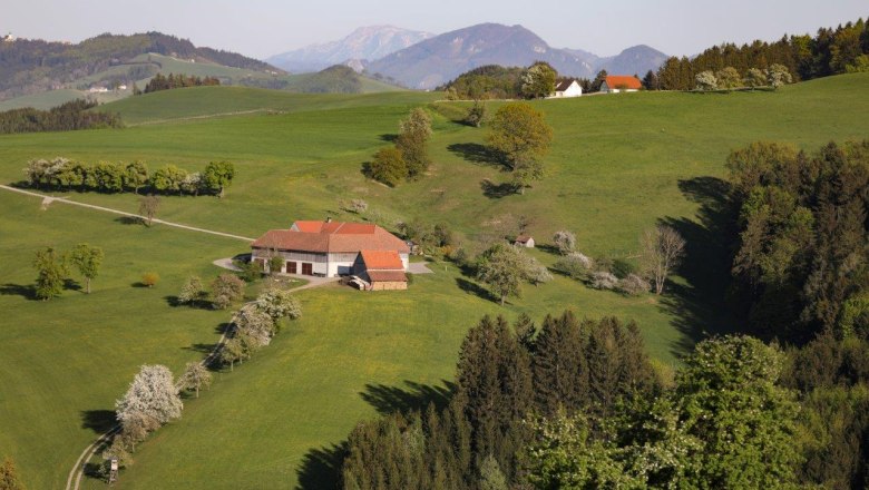 Photo point Vierkanter, &copy; schwarz-koenig.at