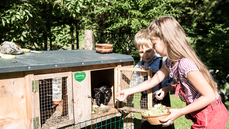 Gasthof "Zum Hammer", &copy; Wolfgang Wutzl