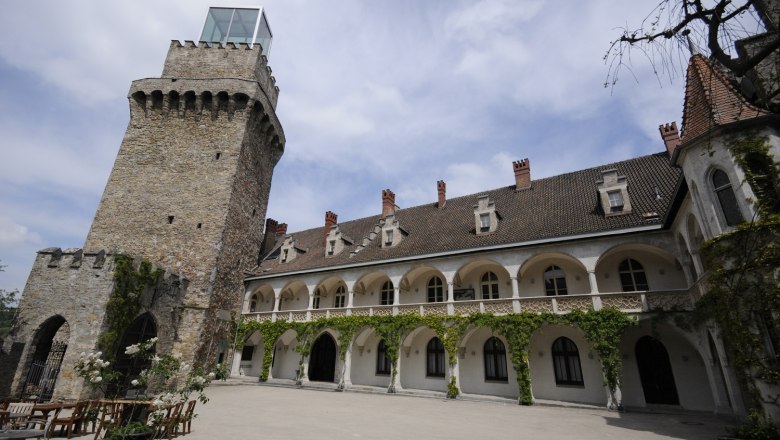 Ein historischer Schlosshof mit einem steinernen Turm und einem Gebäude mit Arkaden und Kletterpflanzen.