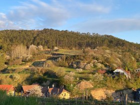 Vir&aacute;gz&oacute; borvid&eacute;kek, &copy; Walter Pernikl