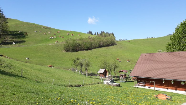 Happy cows on an organic farm, &copy; Andrea Kronsteiner