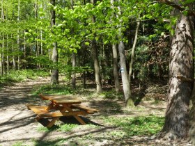 Rundwanderweg stilles Tal, &copy; Mostviertel