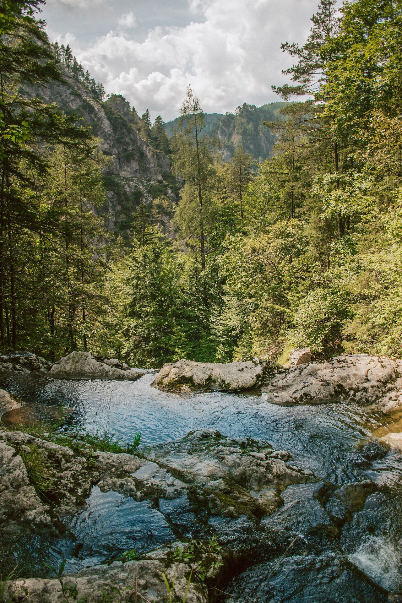 Die sanften Wellen des klaren Wassers plätschern über die glatten Steine, während die majestätischen Bäume im Hintergrund eine schützende Umarmung bieten. Hier, im Herzen des Naturparks Ötscher Tormäuer, entfaltet sich die unberührte Schönheit der Natur und lädt zu einem erholsamen Aufenthalt ein.