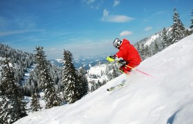 Skiing in Mostviertel Alps, © weinfranz.at