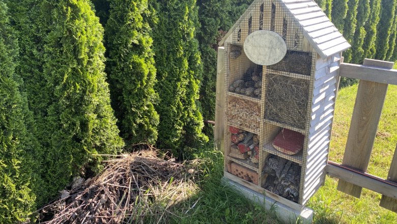 Insect hotel, &copy; Barbara Weilguni