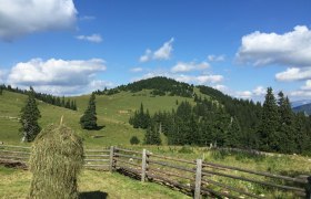 staegyd_riedler (46), &copy; Riedler