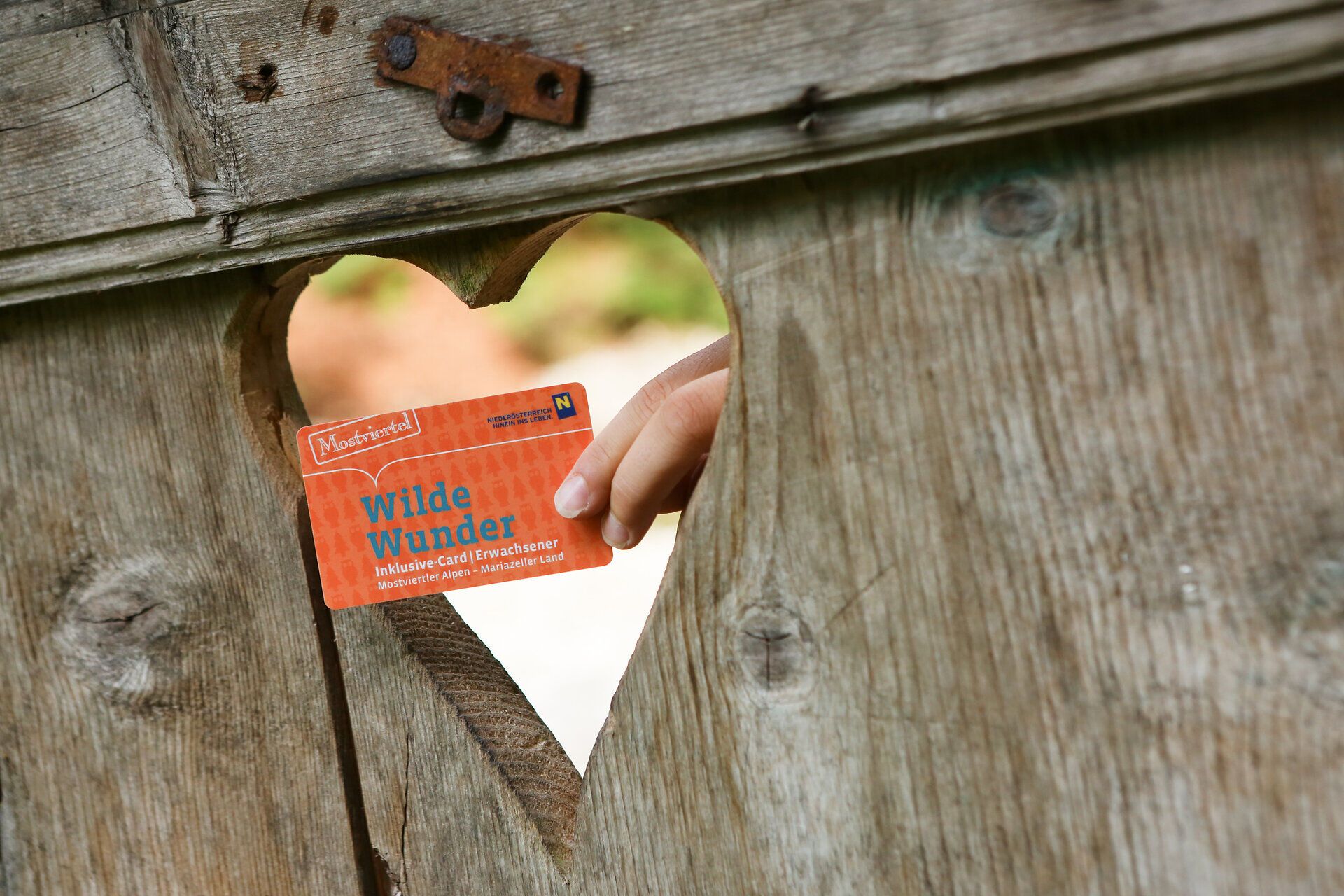 Ein herzförmiger Ausschnitt in einem rustikalen Holzzaun lädt dazu ein, die Schönheit der Natur zu entdecken. Die Wilde Wunder Card verspricht unvergessliche Erlebnisse für die ganze Familie in dieser malerischen Region. Hier, wo die sanften Hügel und üppigen Wiesen aufeinandertreffen, wird jeder Ausflug zum Abenteuer.