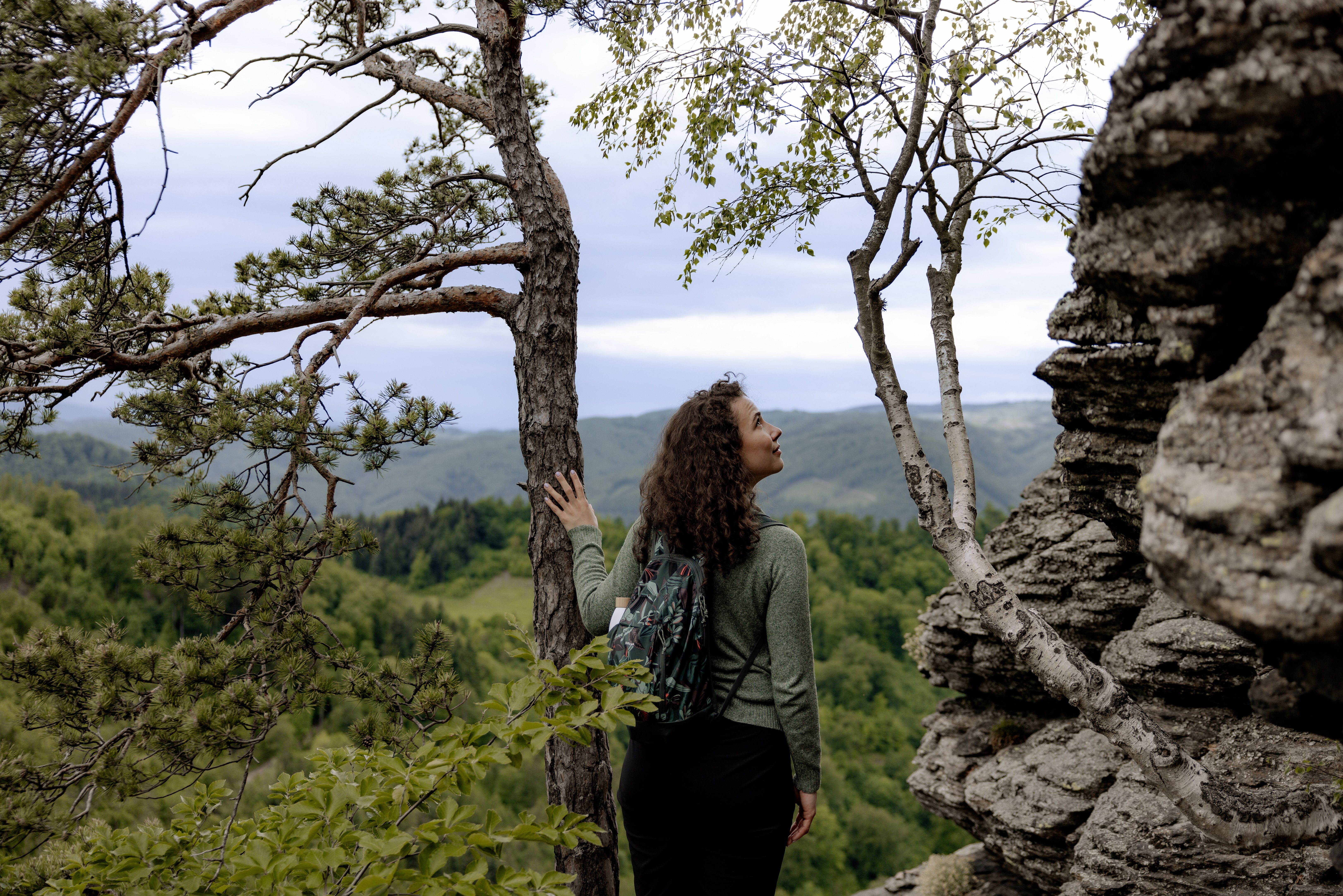 Dunkelsteinerwald am Welterbesteig Wachau