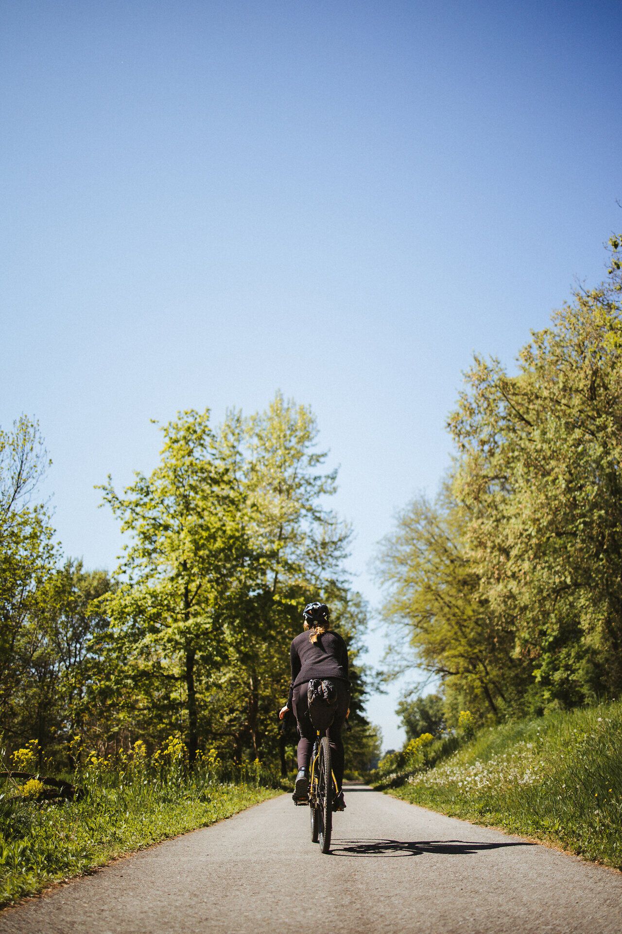 Traisental-Radweg, Radeln, Rad fahren, unmittelbar außerhalb von Traismauer, Mostviertel