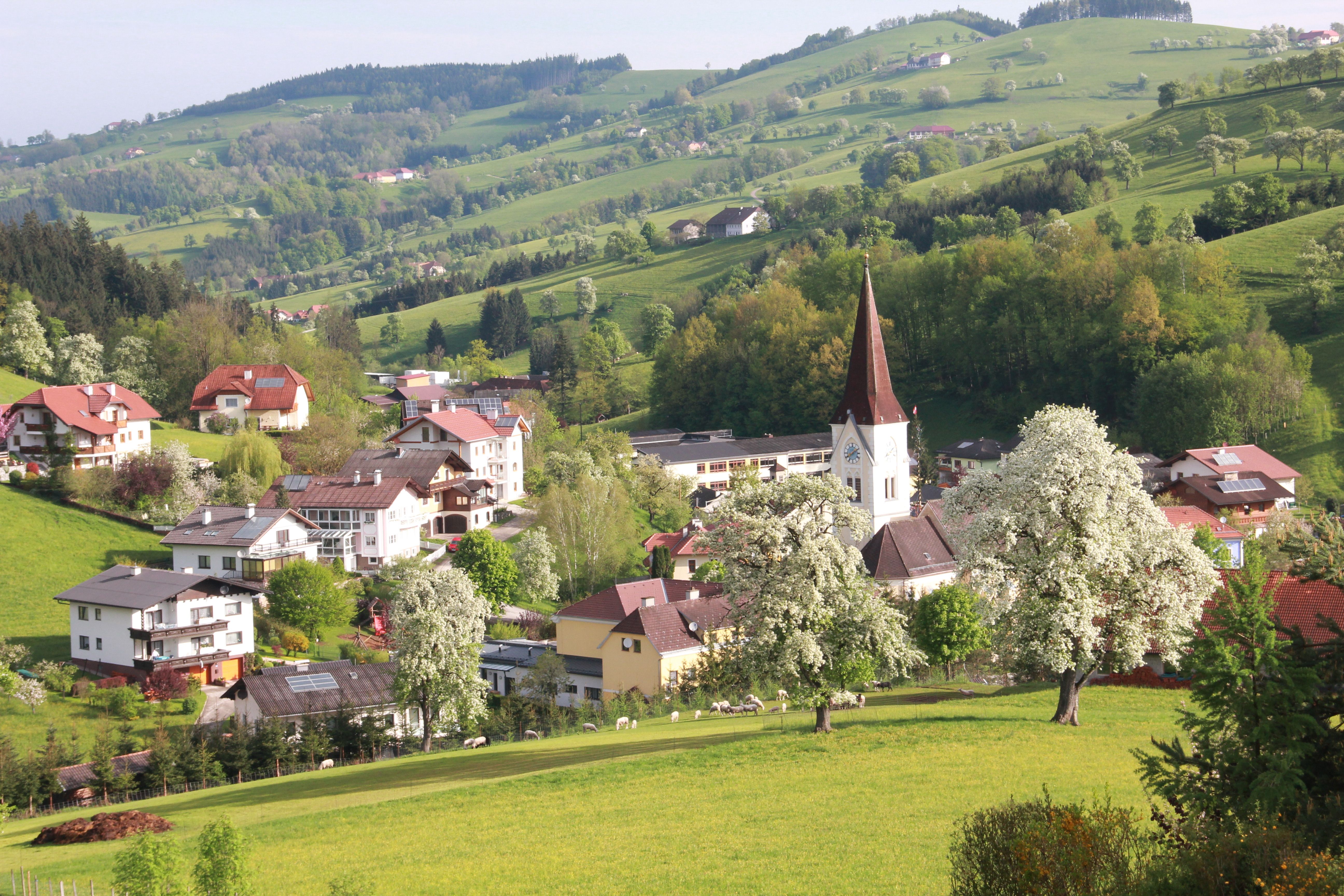 Ländliche Landschaft mit Kirche und blühenden Bäumen.