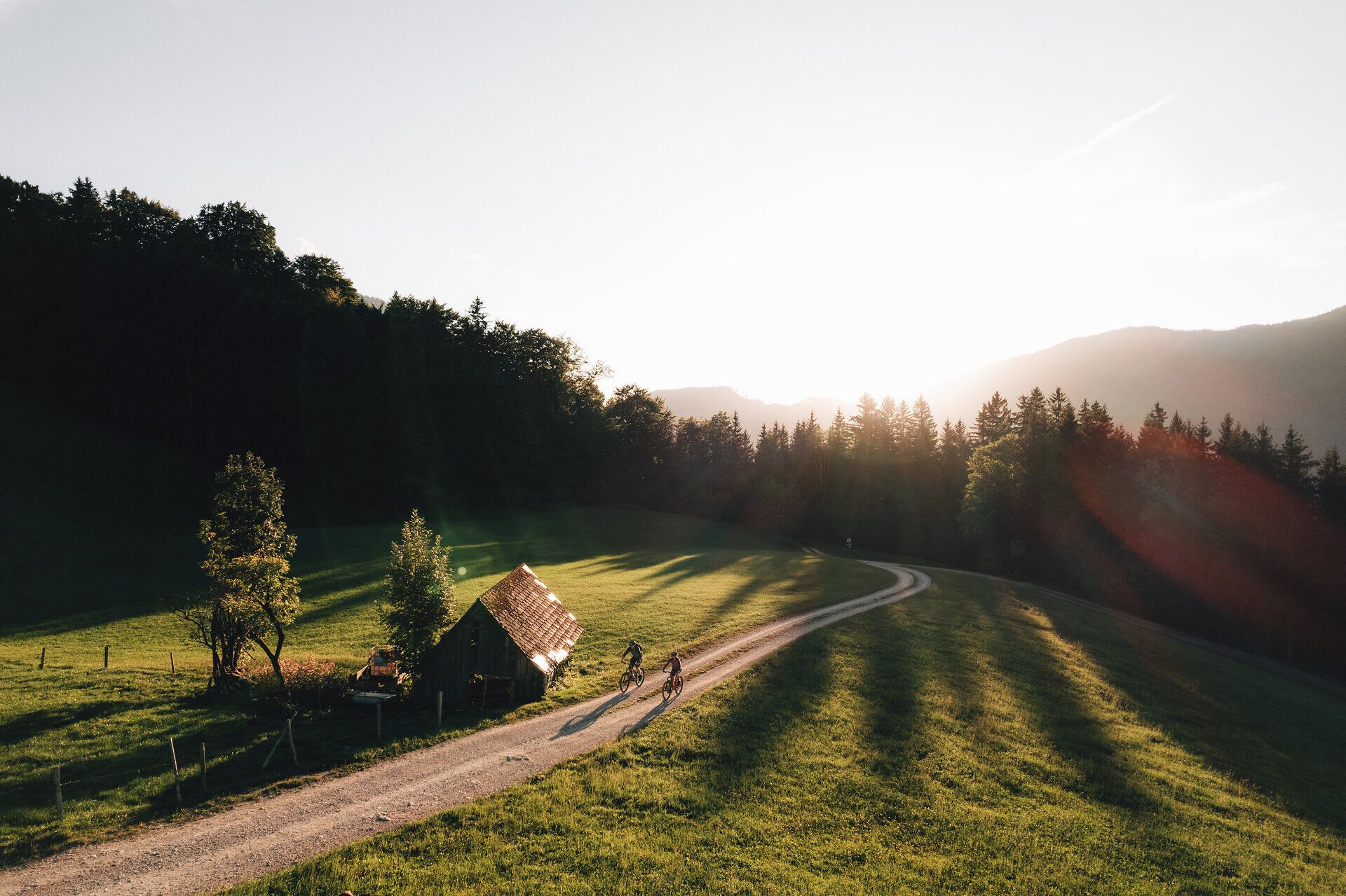 Die sanften Hügel des Mostviertels laden zu einem unvergesslichen Mountainbike-Abenteuer ein. Die goldene Abendsonne taucht die Landschaft in warmes Licht und schafft eine malerische Kulisse für Radfahrer, die die Ruhe der Natur genießen. Ein verstecktes Holzhaus am Wegesrand verleiht der Szenerie einen charmanten, rustikalen Charakter.