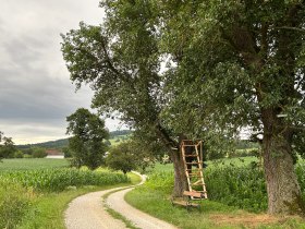 Am Fröschlauweg, © Marktgemeinde Seitenstetten