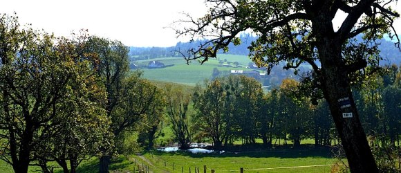 Idyllischer Sattel zwischen Moarhof und Goin, &copy; Christian Wolfsgruber