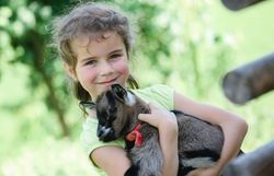 Ein strahlendes Lächeln erhellt das Gesicht eines Mädchens, während sie ein kleines Zicklein liebevoll in den Armen hält. Umgeben von der grünen Idylle des Mostviertels, strahlt die Szene eine herzliche Verbundenheit zur Natur und den Tieren aus. Diese unbeschwerte Momentaufnahme lädt dazu ein, die Freude an den Abenteuern auf dem Bauernhof zu erleben.