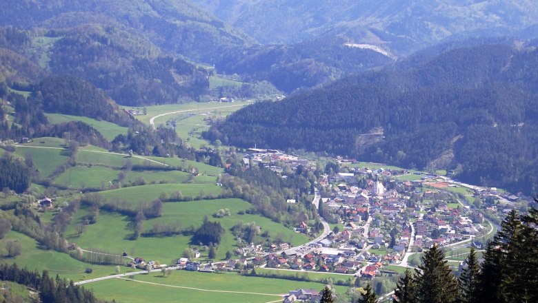 Panoramablick auf das Dorf Türnitz, umgeben von grünen Hügeln und Wäldern.