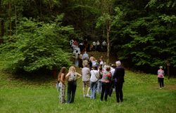 Besuchergruppe spaziert durch den Wald.