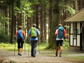 Weg zur Waldkapelle Weinburg, &copy; weinfranz.at