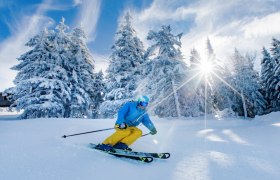 Nicht nur f&uuml;r Pistensportler ist Annaberg ein wahres Winterwonderland, &copy; schwarz-koenig.at