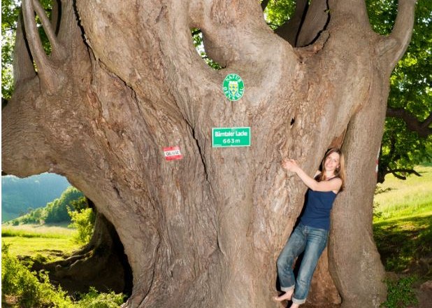 Bärntal-Lacke natural monument, © www.extremfotos.com