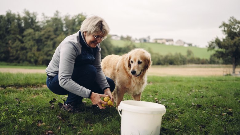 Pihringers Moststub'n, © Moststraße, dochbodnliacht