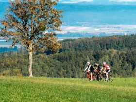 Plambachecker Höhe, © Josef Bollwein