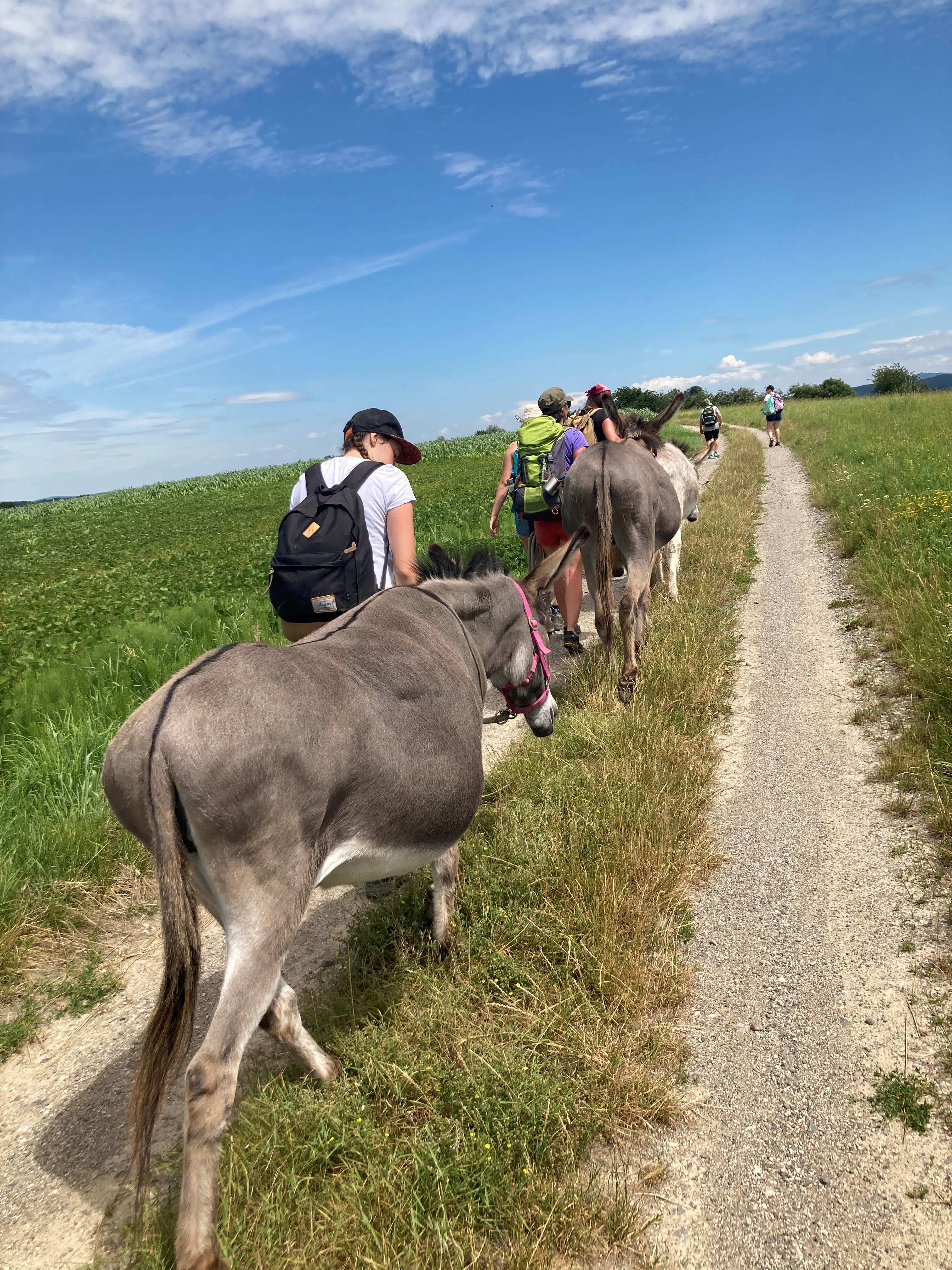Eselwanderung am Esperanzahof