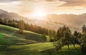 DSK_Sonntagberg_SK_99_3.jpg (1), © schwarz-koenig.at