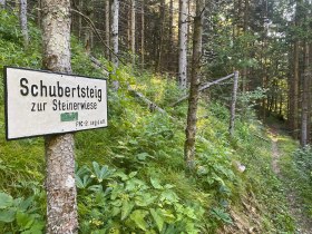 Fischerpromenade - Schubertsteig zur Steinerwiese, &copy; Nordisches Zentrum St. Aegyd