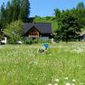Vacation apartment G&ouml;stling in summer, &copy; Fritz Hayder