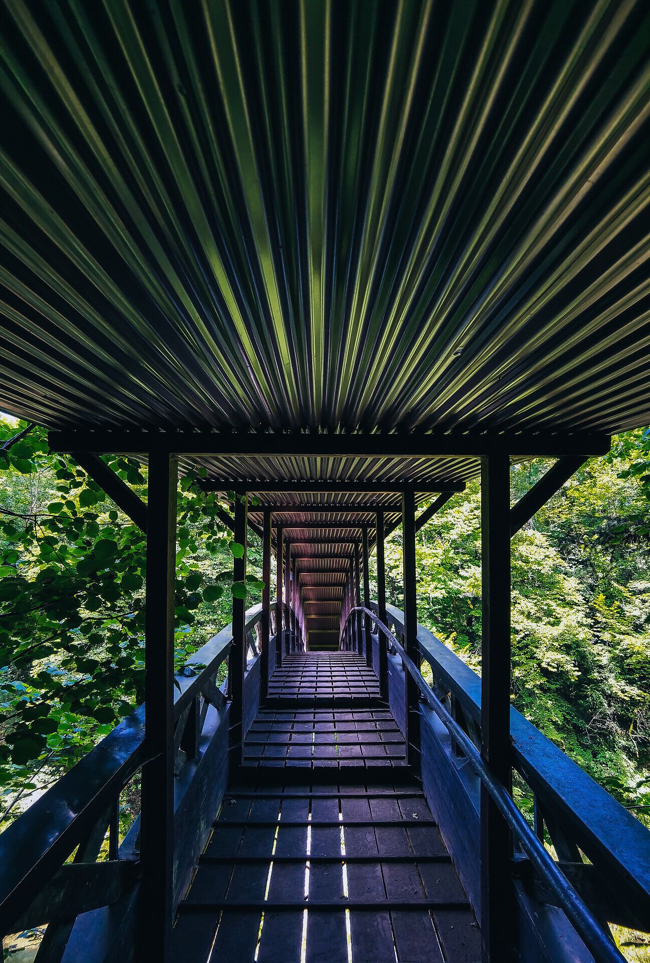 Die Brücke in der Erlaufschlucht lädt zu einem unvergesslichen Spaziergang ein, während das sanfte Licht durch die Baumkronen fällt. Umgeben von üppigem Grün und dem beruhigenden Rauschen des Wassers, spürt man die harmonische Verbindung zur Natur.