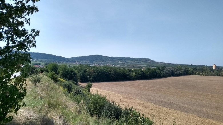 The Bronze Age cemeteries in Franzhausen, © Franz Pieler