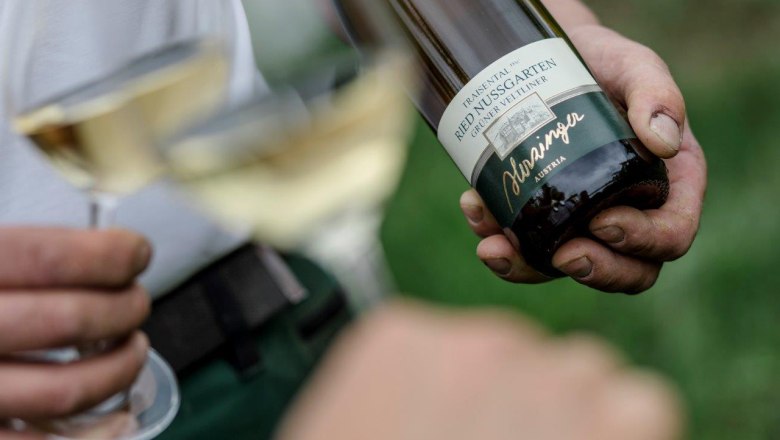 Weingut Herzinger, © schwarz-koenig.at