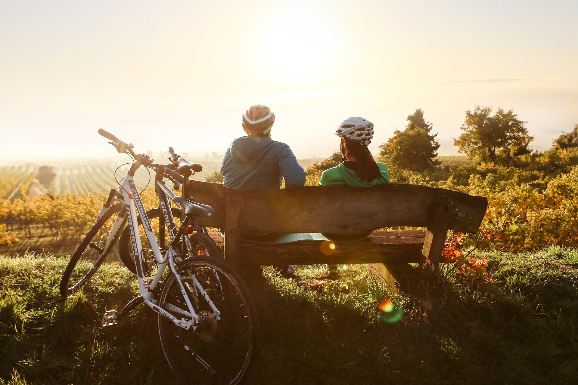 Genießen Sie die friedliche Atmosphäre bei einem Blick auf die sanften Hügel und Weinreben, während die Sonne langsam am Horizont aufgeht. Die frische Morgenluft und das sanfte Licht schaffen eine perfekte Kulisse für eine entspannte Rast nach einer aufregenden Radtour.