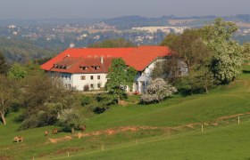 Bauernhof Blümelhub, © Auer Hannes