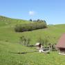 Happy cows on an organic farm, &copy; Andrea Kronsteiner