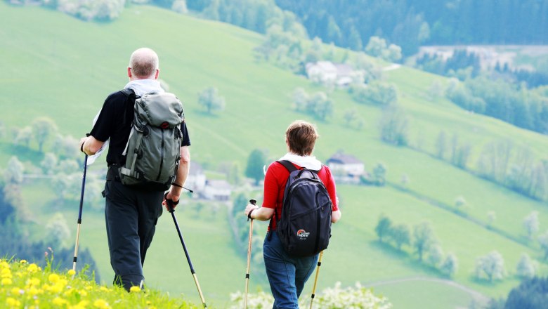 Two hikers with rucksacks and hiking poles on a green meadow with hills in the background.