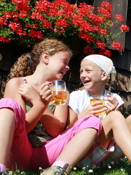 Mostviertel Holiday Offers, © weinfranz.at