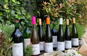 Auf einer Mauer trapierte Weinflaschen