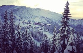 Alm Charlet, © Martin Stellenberger