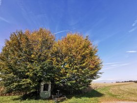 Kaplička u cesty Pratsturm, &copy; Brigitte Hofschwaiger