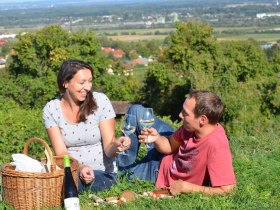 Picknick in der Wiese, &copy; Walter Pernikl