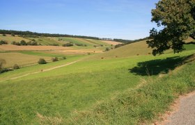 Anstieg Kronberg, &copy; Mostviertel