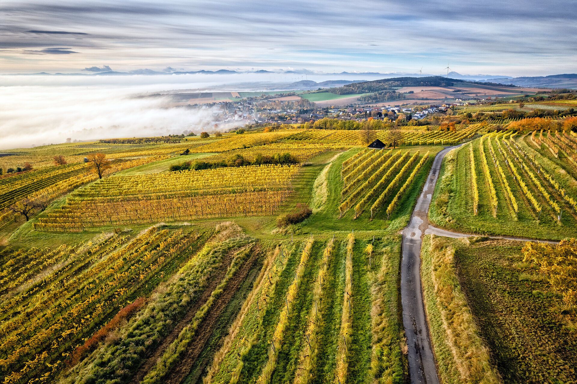 Sanfte Hügel und endlose Weinreben erstrecken sich bis zum Horizont, während die Morgensonne die Landschaft in goldenes Licht taucht. Die frische Luft und der Duft von reifen Trauben laden zu einem unvergesslichen Erlebnis in der Natur ein.