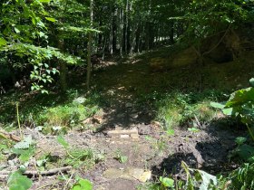 Pyhra Trail, &copy; MTB-Initiative St.P&ouml;lten