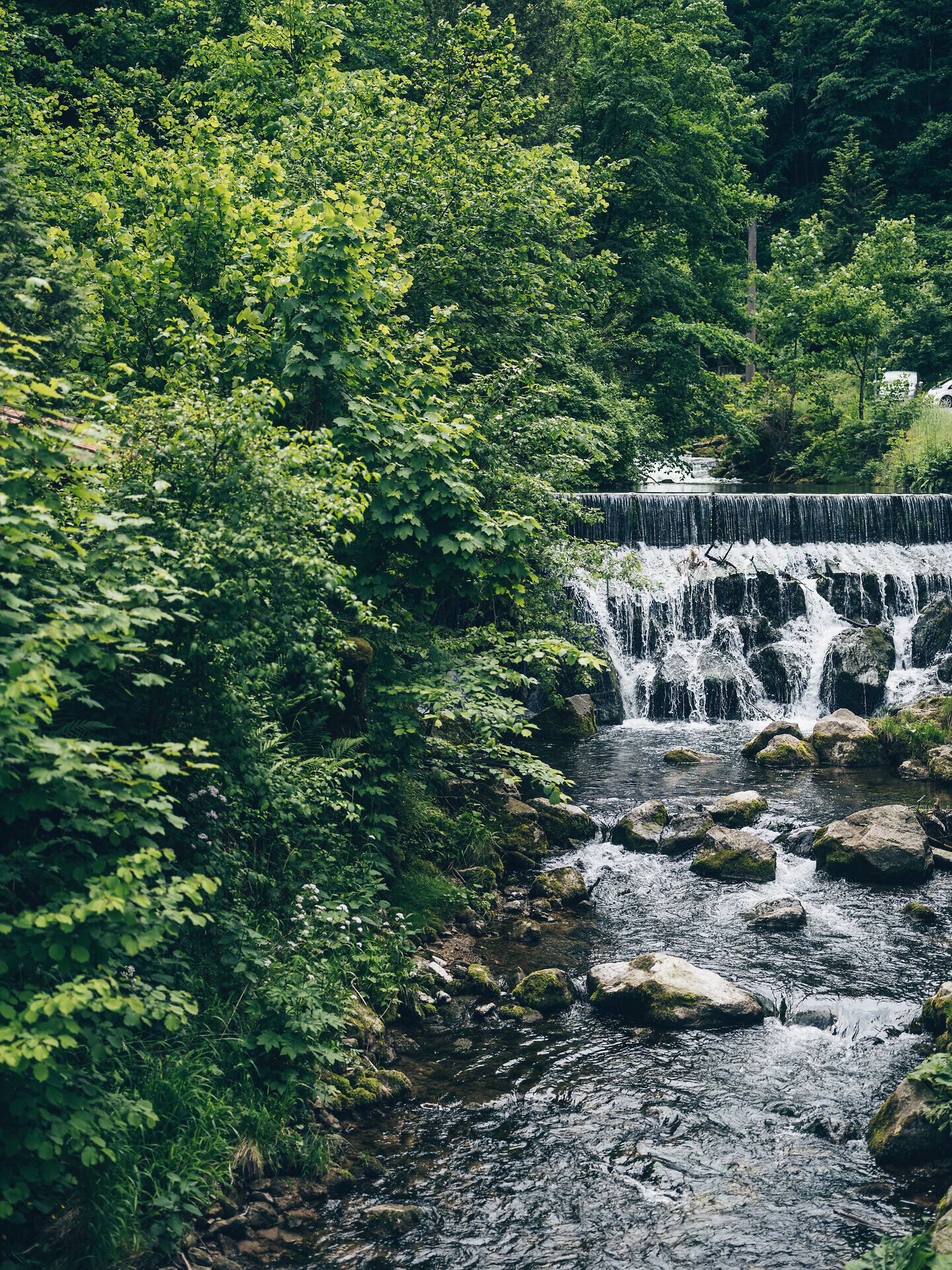 Ein sanfter Wasserfall plätschert zwischen üppigem Grün und verleiht der Umgebung eine friedliche Atmosphäre. Die klare Luft und das Rauschen des Wassers laden dazu ein, die Seele baumeln zu lassen und die Schönheit der Natur zu genießen.