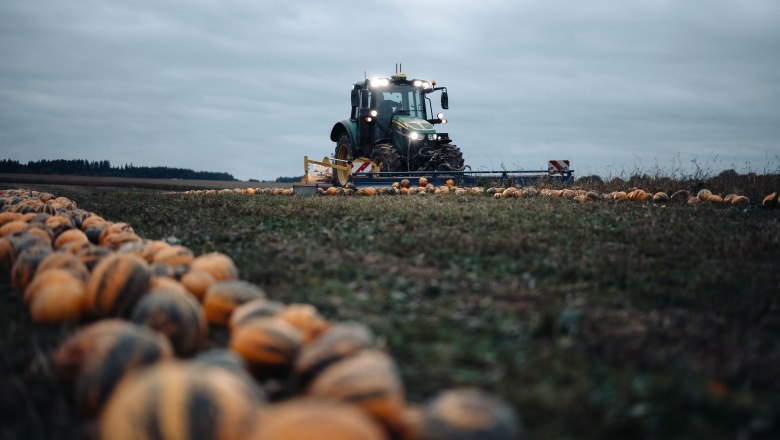 Organic pumpkin farm Metz, © Moststraße, dochbodnliacht