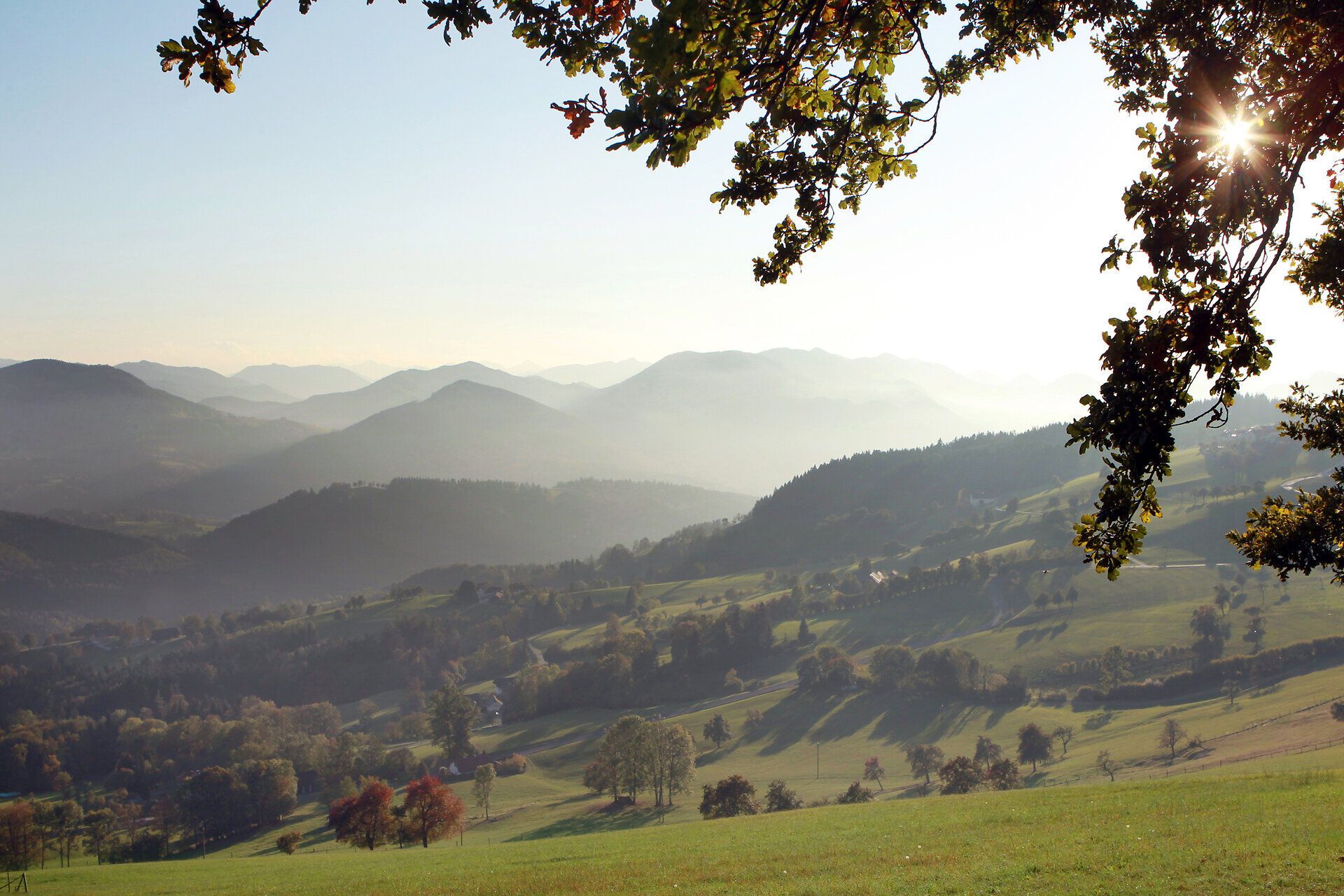 Die sanften Hügel des Mostviertels erstrecken sich in einem harmonischen Zusammenspiel von Licht und Schatten. Die klare Luft und die malerische Landschaft laden zu unvergesslichen Wanderungen ein, während die sanften Konturen der Berge im Hintergrund eine beruhigende Kulisse bieten.