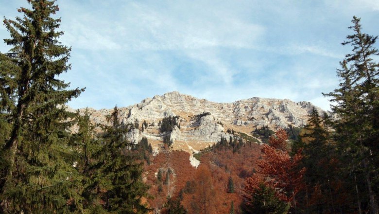 Berglandschaft mit dem Dürrenstein im Hintergrund, umgeben von Nadelbäumen und herbstlich gefärbtem Laub.