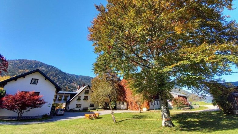 House Lassingbauer, &copy; Karin Redlsteiner